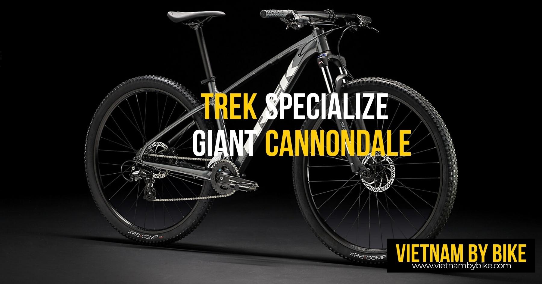 Global By Bike rental fleet featuring Cannondale, Trek, and Giant bicycles