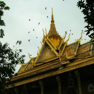 Battambang Cycling Tours
