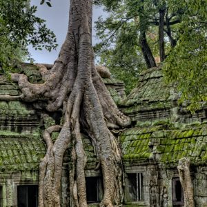 Kampong Thom Cycling Tours